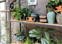 SPEAKER in BAMBOO